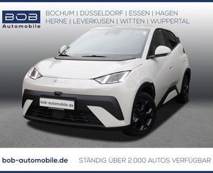 BYD DOLPHIN Gebrauchtwagen