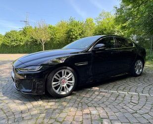 Jaguar XE Gebrauchtwagen