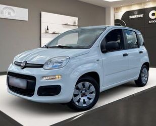 Fiat Panda Gebrauchtwagen