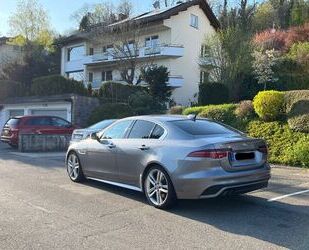 Jaguar XE Gebrauchtwagen