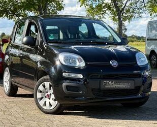 Fiat Panda Gebrauchtwagen