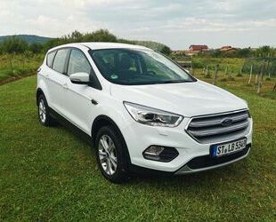 Ford Kuga Gebrauchtwagen