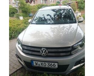VW Tiguan Gebrauchtwagen
