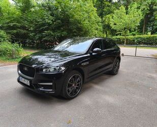 Jaguar F-Pace Gebrauchtwagen
