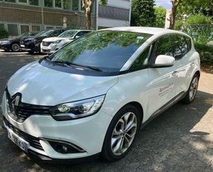 Renault Scenic Gebrauchtwagen