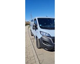 Fiat Ducato Gebrauchtwagen