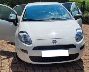 Fiat Punto Gebrauchtwagen