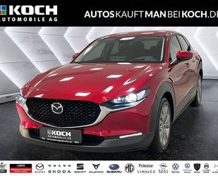 Mazda CX-30 Gebrauchtwagen