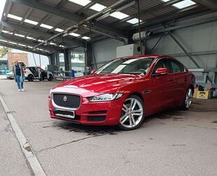 Jaguar XE Gebrauchtwagen