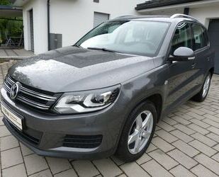 VW Tiguan Gebrauchtwagen