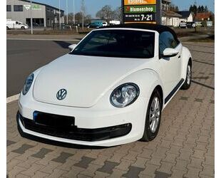 VW Beetle Gebrauchtwagen