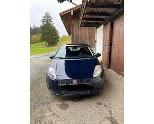 Fiat Punto Gebrauchtwagen