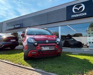 Fiat Panda Gebrauchtwagen