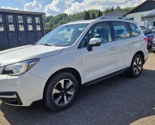 VW Forester 