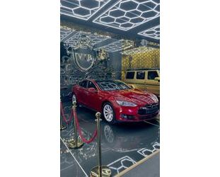 Tesla Model S Gebrauchtwagen