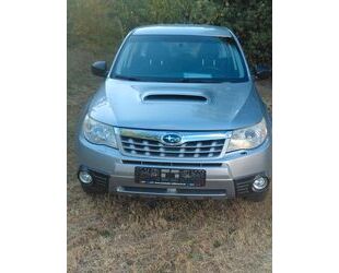 Subaru Forester Gebrauchtwagen