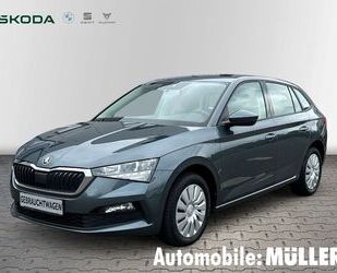 Skoda Scala Gebrauchtwagen
