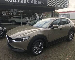 Mazda CX-30 Gebrauchtwagen