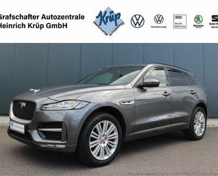 Jaguar F-Pace Gebrauchtwagen