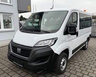 Fiat Ducato Gebrauchtwagen