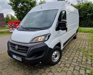 Fiat Ducato Gebrauchtwagen