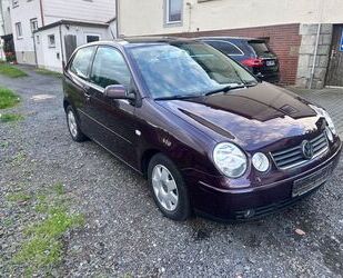 VW Polo Gebrauchtwagen