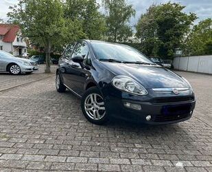 Fiat Punto Evo Gebrauchtwagen