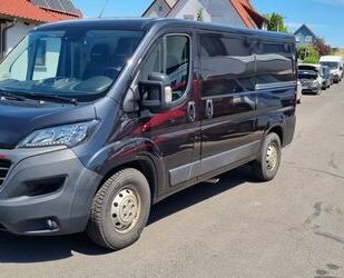 Fiat Ducato Gebrauchtwagen
