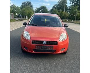 Fiat Punto Gebrauchtwagen
