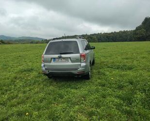 Subaru Forester Gebrauchtwagen