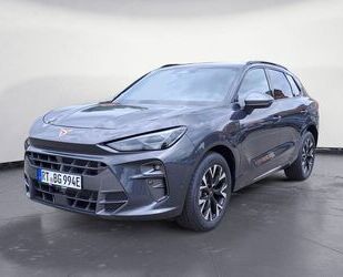 Cupra Terramar Gebrauchtwagen