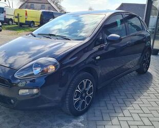 Fiat Punto Gebrauchtwagen