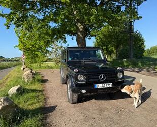 Mercedes-Benz G 350 Gebrauchtwagen