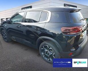 Citroen C5 Aircross Gebrauchtwagen