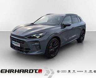 Cupra Terramar Gebrauchtwagen