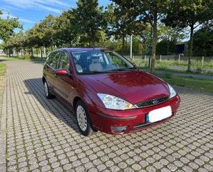 Ford Focus Gebrauchtwagen