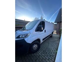 Fiat Ducato Gebrauchtwagen