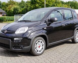 Fiat Panda Gebrauchtwagen