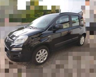 Fiat Panda Gebrauchtwagen