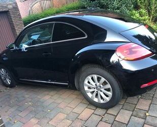 VW Beetle Gebrauchtwagen