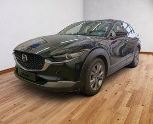 Mazda CX-30 Gebrauchtwagen