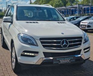 Mercedes-Benz ML 250 Gebrauchtwagen