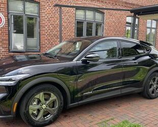 Ford Mustang Mach-E Gebrauchtwagen