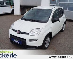 Fiat Panda Gebrauchtwagen
