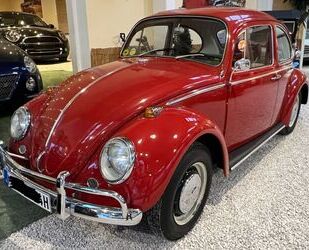 VW Käfer Gebrauchtwagen