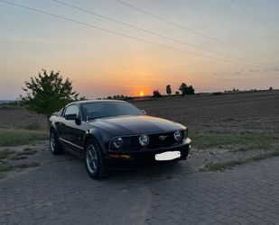 Ford Mustang Gebrauchtwagen