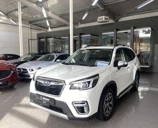 Subaru Forester Gebrauchtwagen