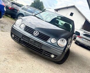 VW Polo Gebrauchtwagen