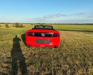 Ford Mustang Gebrauchtwagen