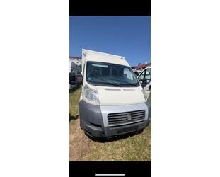 Fiat Ducato Gebrauchtwagen